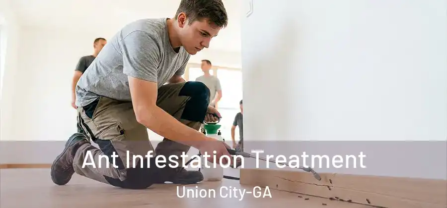 Ant Infestation Treatment Union City-GA