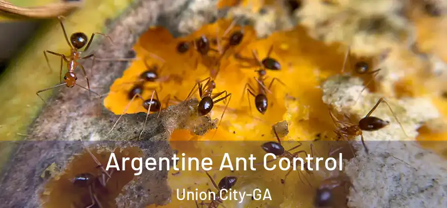 Argentine Ant Control Union City-GA