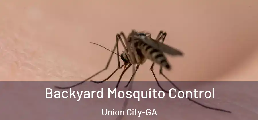 Backyard Mosquito Control Union City-GA