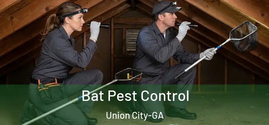 Bat Pest Control Union City-GA