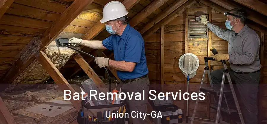 Bat Removal Services Union City-GA