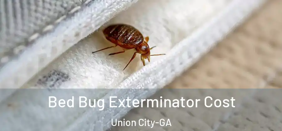 Bed Bug Exterminator Cost Union City-GA