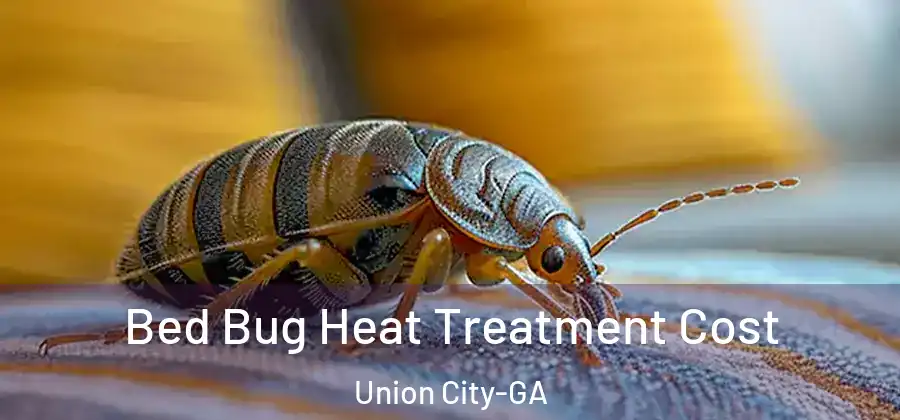 Bed Bug Heat Treatment Cost Union City-GA