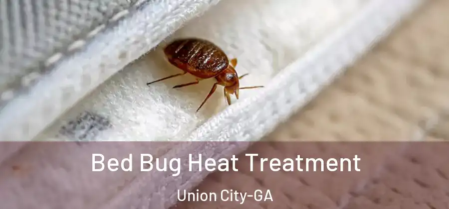  Bed Bug Heat Treatment Union City-GA