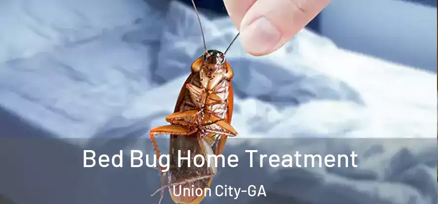  Bed Bug Home Treatment Union City-GA