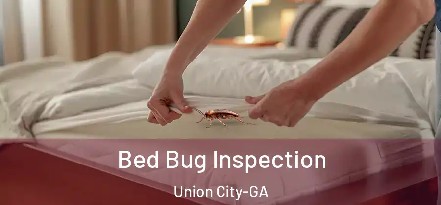 Bed Bug Inspection Union City-GA