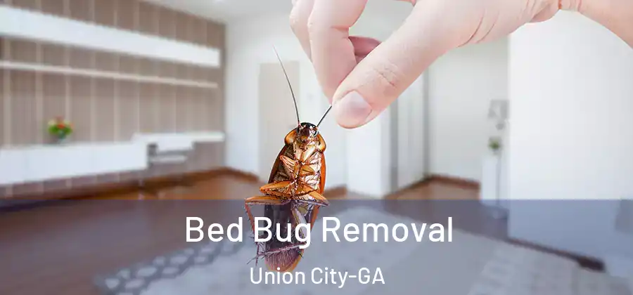 Bed Bug Removal Union City-GA