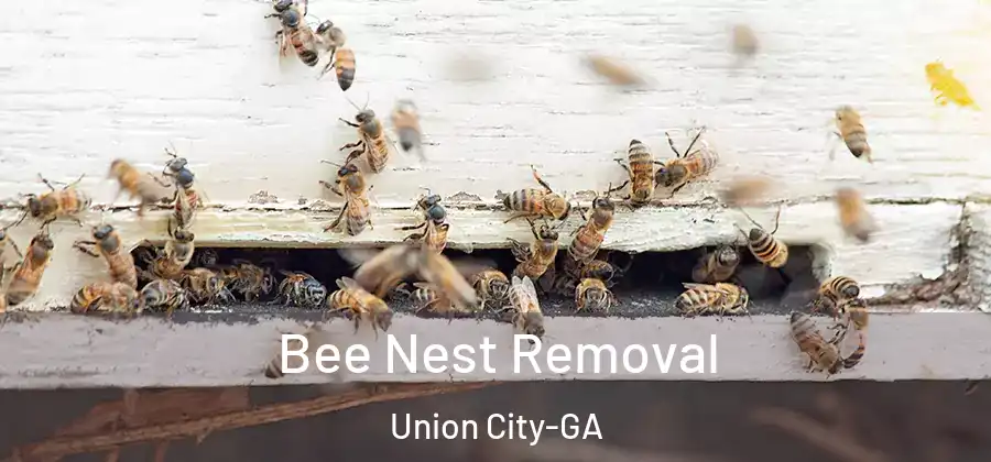 Bee Nest Removal Union City-GA