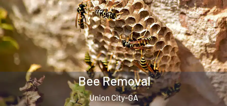 Bee Removal Union City-GA