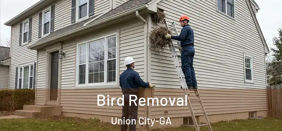 Bird Removal Union City-GA