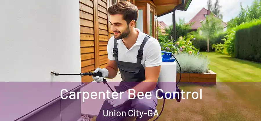 Carpenter Bee Control Union City-GA