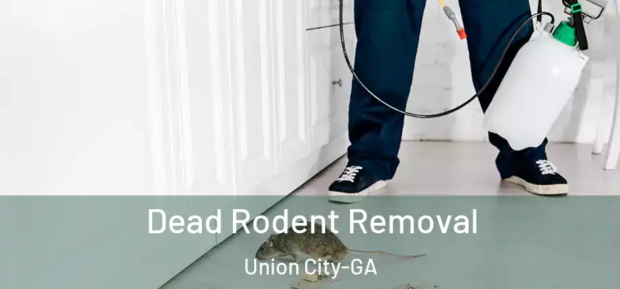 Dead Rodent Removal Union City-GA