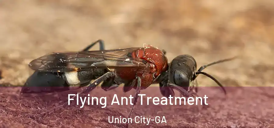 Flying Ant Treatment Union City-GA