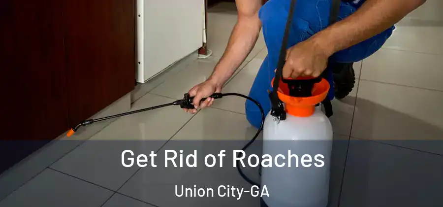 Get Rid of Roaches Union City-GA