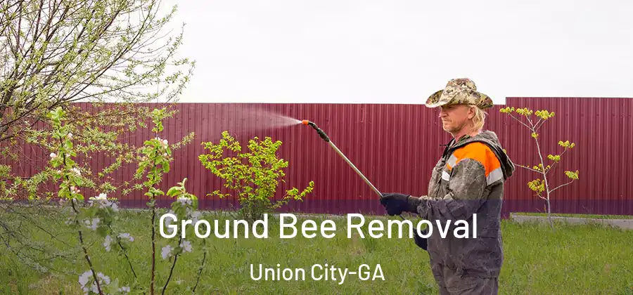 Ground Bee Removal Union City-GA
