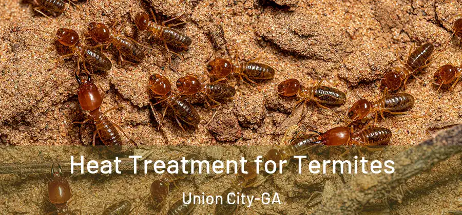  Heat Treatment for Termites Union City-GA