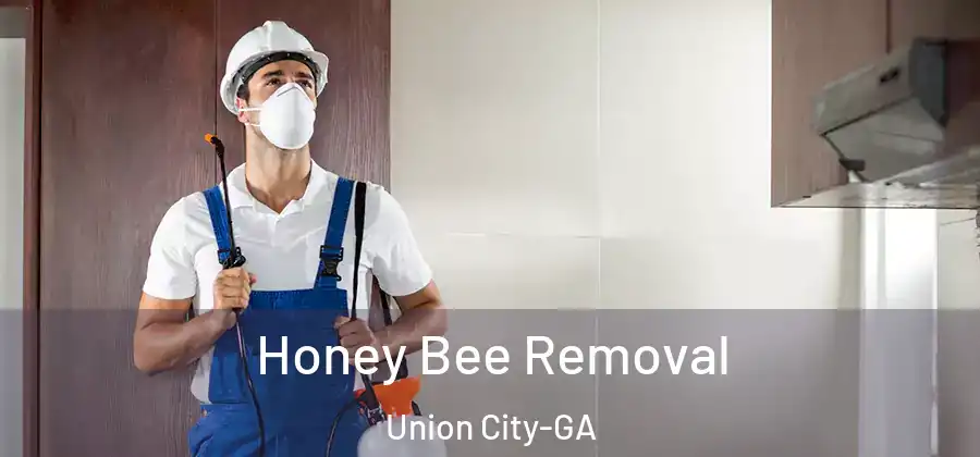 Honey Bee Removal Union City-GA