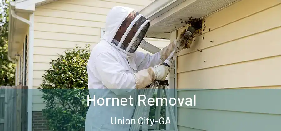 Hornet Removal Union City-GA