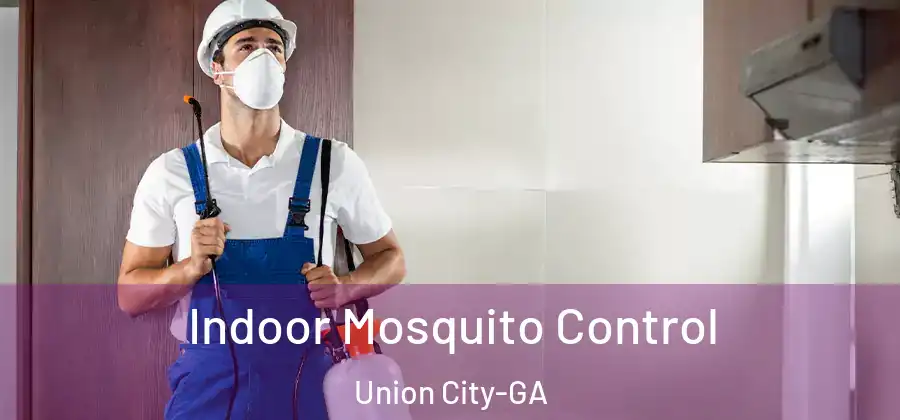 Indoor Mosquito Control Union City-GA