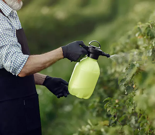 Your Proven Mosquito Treatment Company in Union City, GA