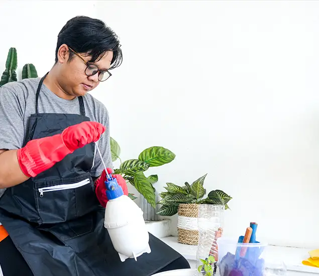 About Bed Bug Chemical Treatment Experts in Union City, GA