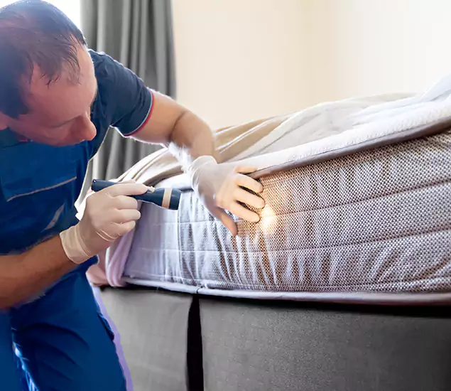 Trusted Bed Bug Cost Experts in Union City, GA