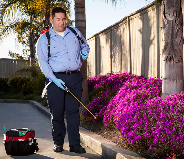 About Our Eco Safe Pest Control Experts in Union City, GA