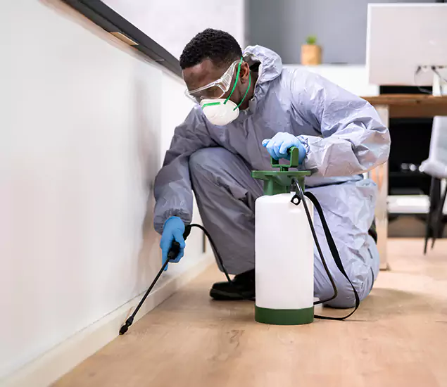 Leading Industrial Pest Control Experts Serving Union City, GA