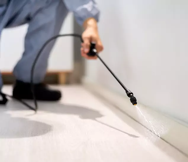 About Our Liquid Termite Treatment Experts in Union City, GA