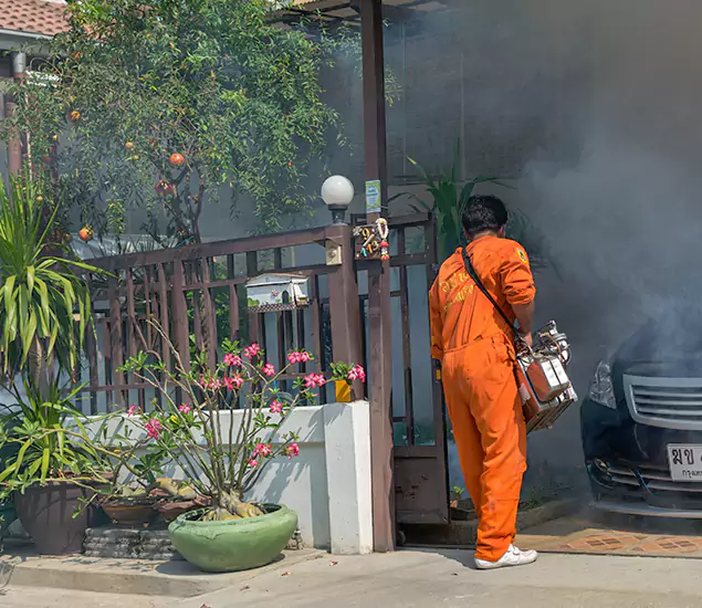 Your Proven Mosquito Fogging Company in Union City, GA