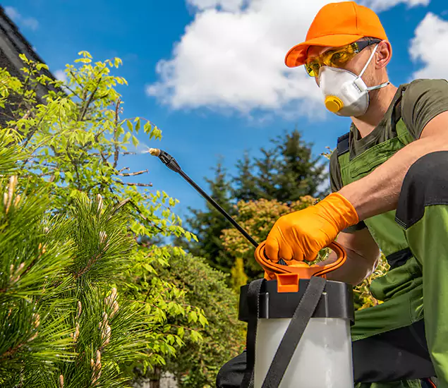 Your Best Bug Spray for Home Team in Union City, GA