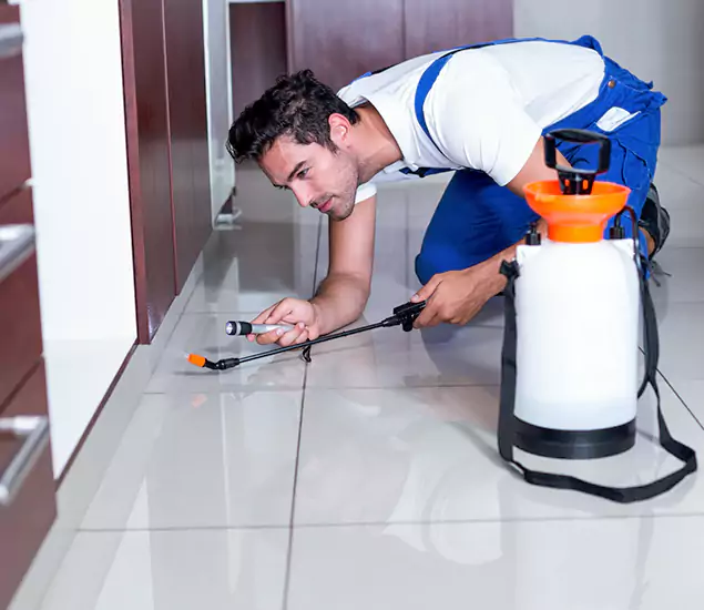 Reliable Professional Mouse Removal: Your Best Mouse Control Company in Union City, GA