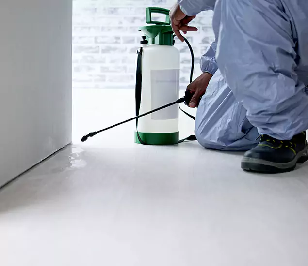 Affordable Pest Control Experts in Union City, GA