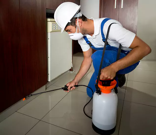 Advanced Termite Pre Treatment Experts in Union City, GA