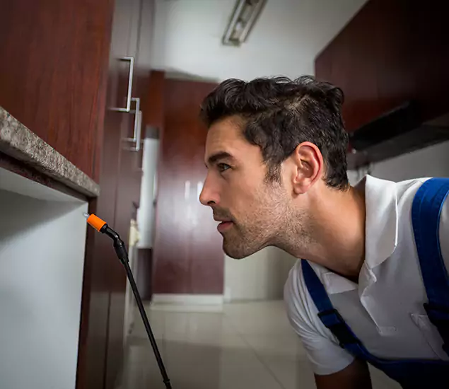 Expert Rodent in Attic Removal: Your Proven Pest Specialists in Union City, GA