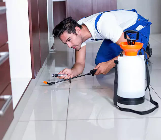 Advanced Slab Termite Treatment Experts You Can Trust&nbsp;in Union City, GA