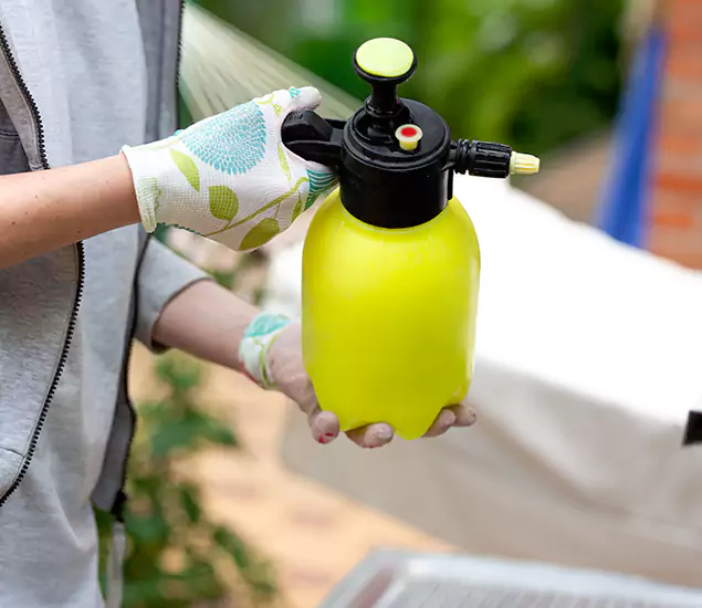 Skilled Residential Small Black Ant Service in Union City, GA