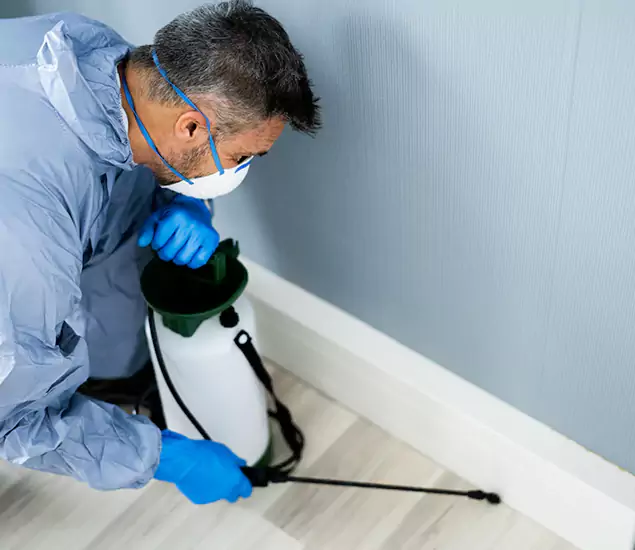 Reliable Termite Cost Experts in Union City, GA