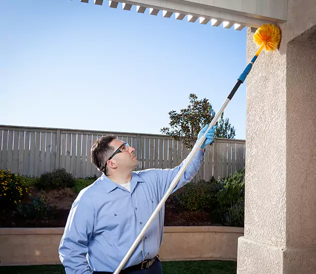 Your Trusted Wasp Removal Company in Union City, GA