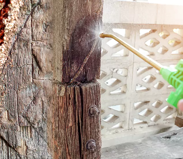 About Wood Termite Treatment Services in Union City, GA