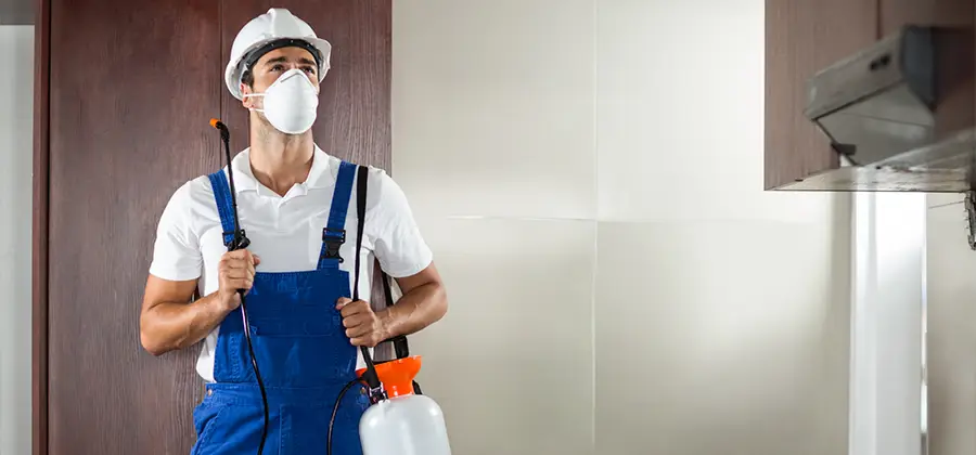 Per Room Bed Bug Cost in Union City
