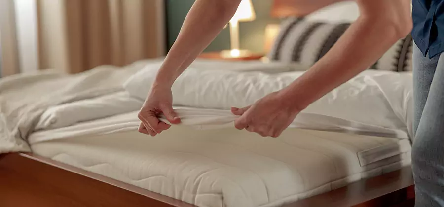 Bed Bug Extermination Services in Union City