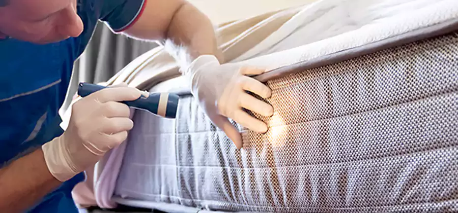 Residential Bed Bug Treatment Cost in Union City