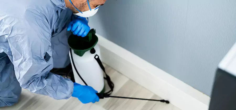 Fumigate Apartment Roaches in Union City