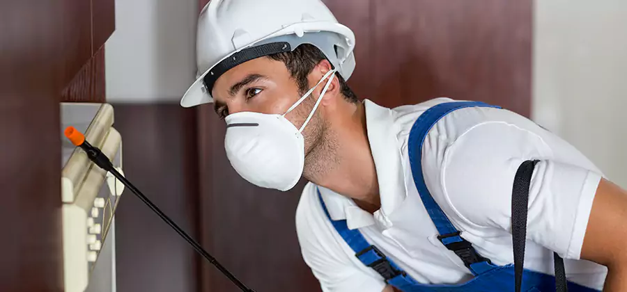 Injection Foam Treatment for Drywood Termites in Union City