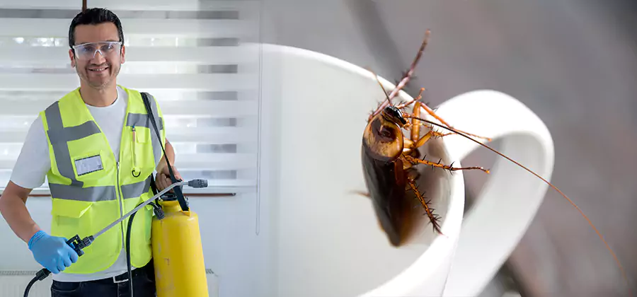 German Roach Infestation Treatment Union City