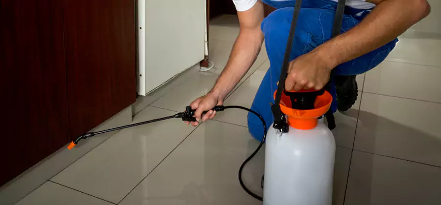 Indoor Mosquito Treatment in Union City