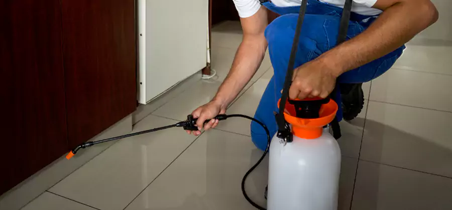 Indoor Insect Killer Solutions in Union City