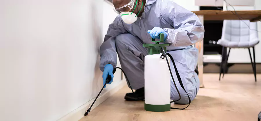 Long Lasting Mosquito Treatment in Union City