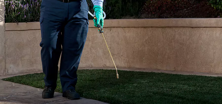 Soil Treatment for New Construction Termites in Union City